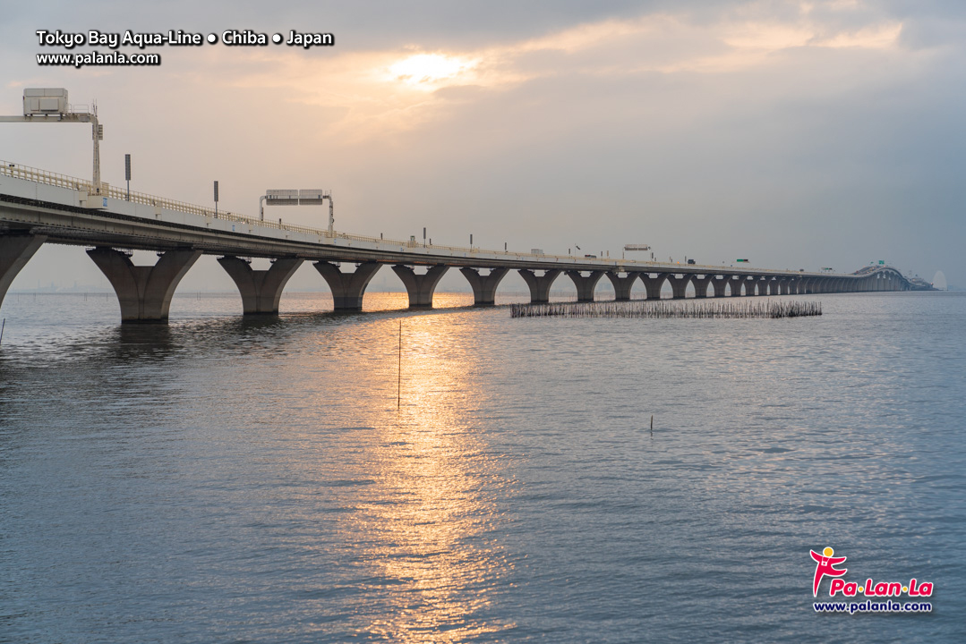 Tokyo Bay Aqua – Line